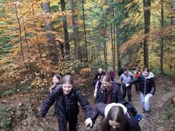 56579633312823993803546742571475868287293256n